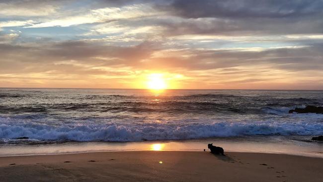 An off-duty police officer has died while saving a teen from the surf. Picture: Julie Clark