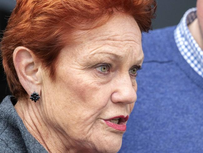 ‘Lied to’: Hanson’s bizarre Covid claim