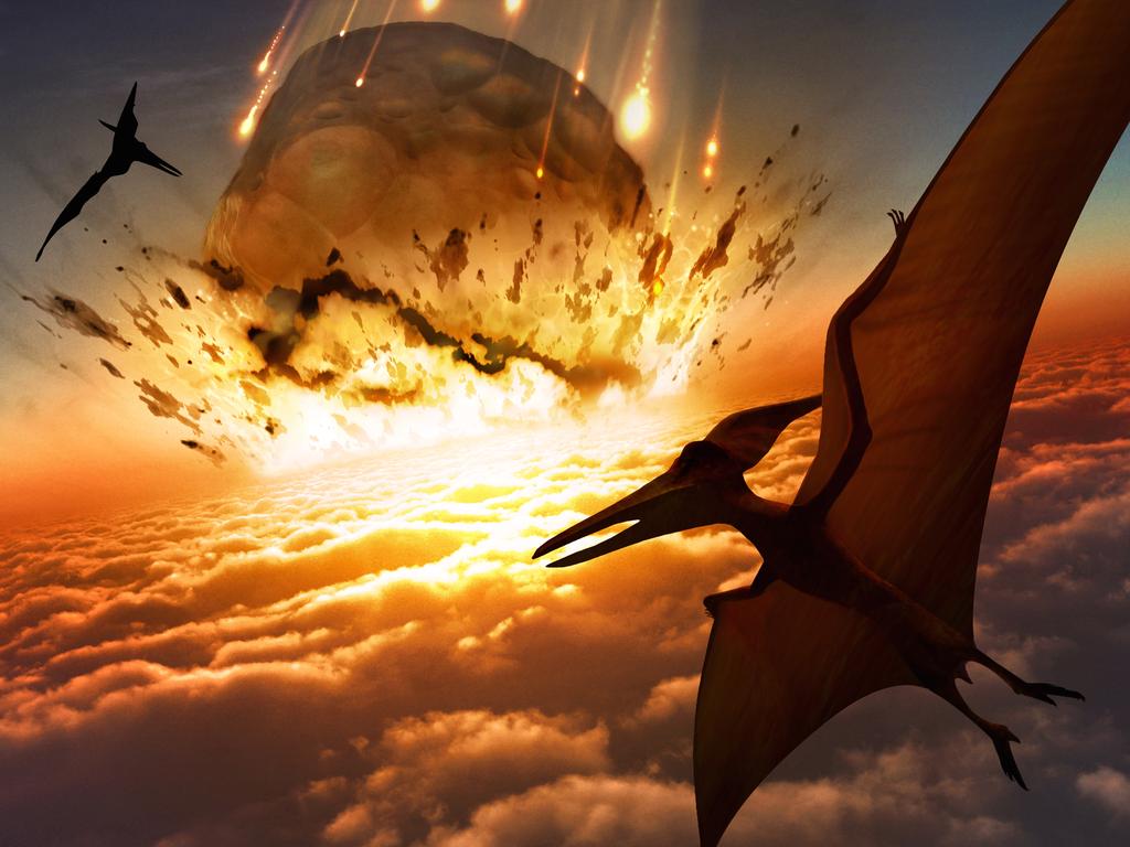 Dino meteorite a mass extinction event | KidsNews