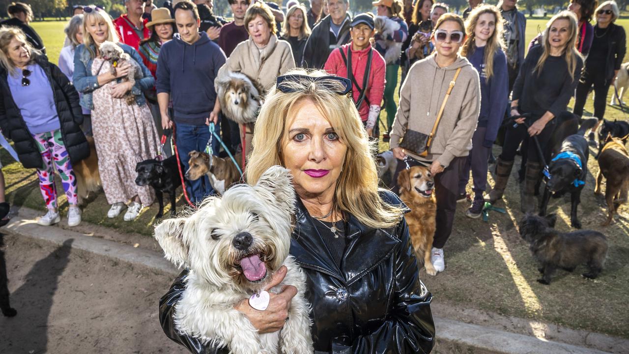 Fury as ‘no-kill’ Melbourne animal shelter faces the axe