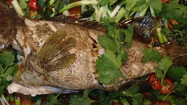 Hiro Nakamura column recipe for steamed fish Cantonese style