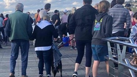 Whale watchers flouting social distancing at Mornington pier fuelled the lockdown debate.