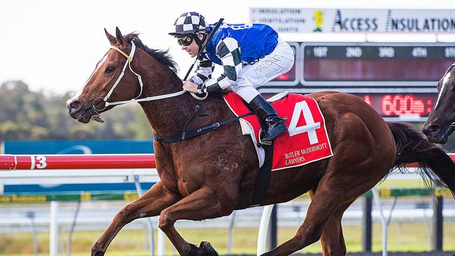 Tawfiq Boy has now earnt more than $330,000 in prizemoney after another win in Coffs Harbour over the weekend. (AAP Image/Albert Perez)