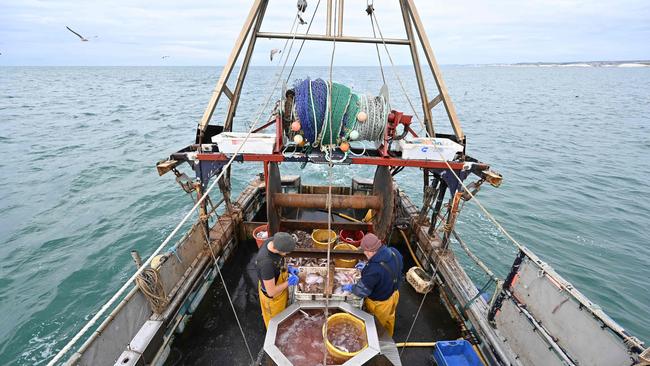 English fishing boat skipper Neil Whitney, right, and deckhand Nathan Harman after the the first trawl of the day. Picture: AFP