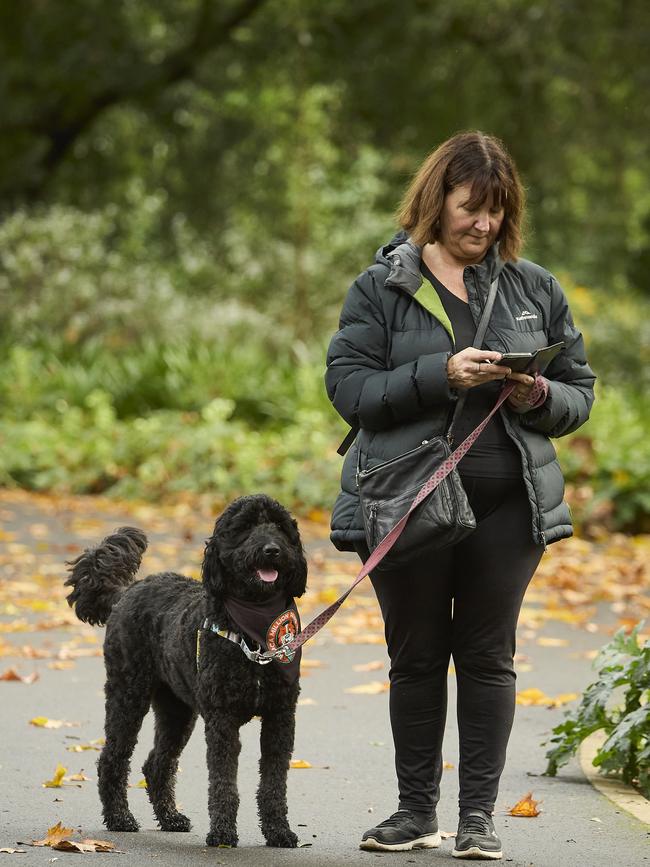 Million Paws Walk at Adelaide Botanic Gardens. Picture: Matt Loxton
