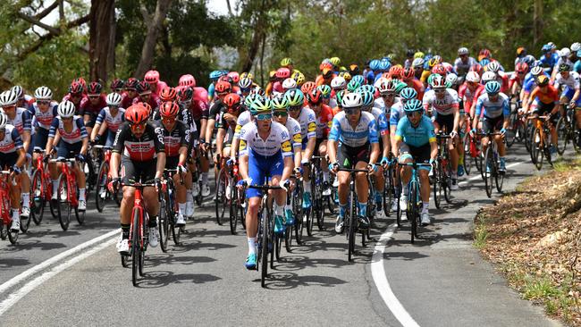 The Tour Down Under peloton in the Adelaide Hills. Picture: AAP