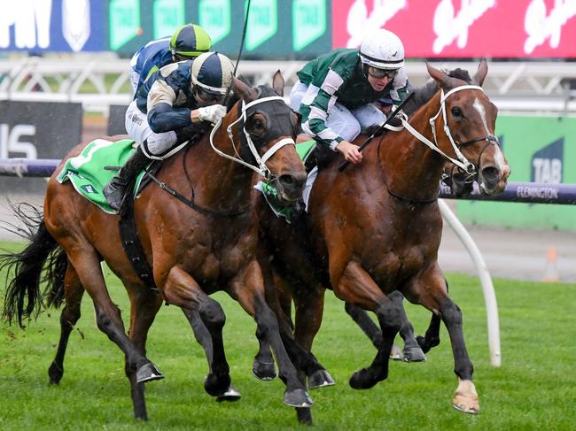 Via Sistina (IRE) ridden by Damian Lane wins the TAB Turnbull Stakes at Flemington Racecourse on October 05, 2024 in Flemington, Australia. (Photo by Pat Scala/Racing Photos via Getty Images)