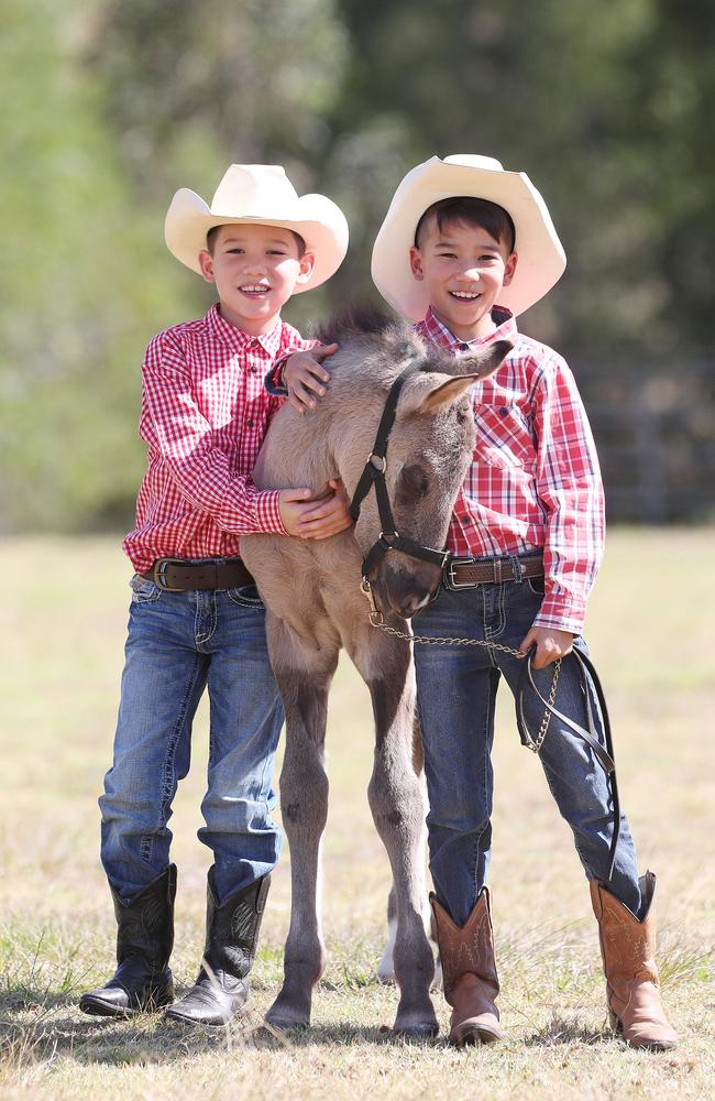 Eight-year-old twins Daniel and Wyatt Wong at Dayboro with Soloman. Picture: Annette Dew