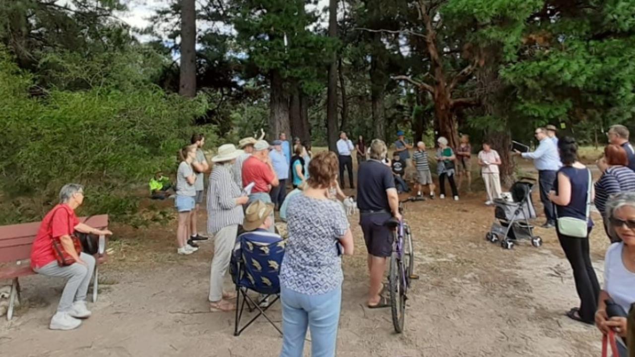 Ferntree Gully residents furious after ‘healthy’ trees felled in park