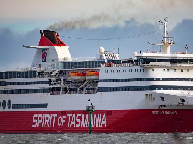 Reports of horse deaths during Spirit of Tas fire ‘utterly false’