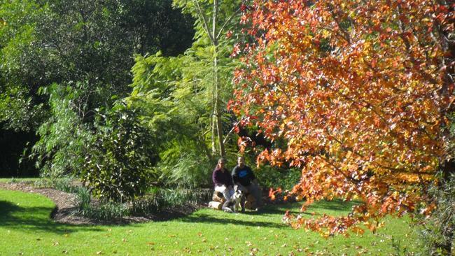 The garden has lots of twisting paths.