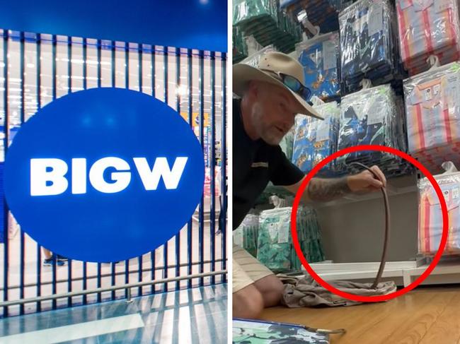 a snake was seen inside big w