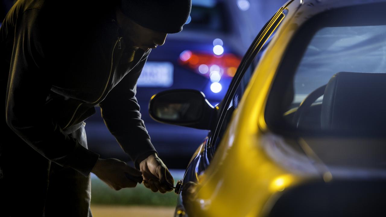 Two men have been charged over a series of car thefts.