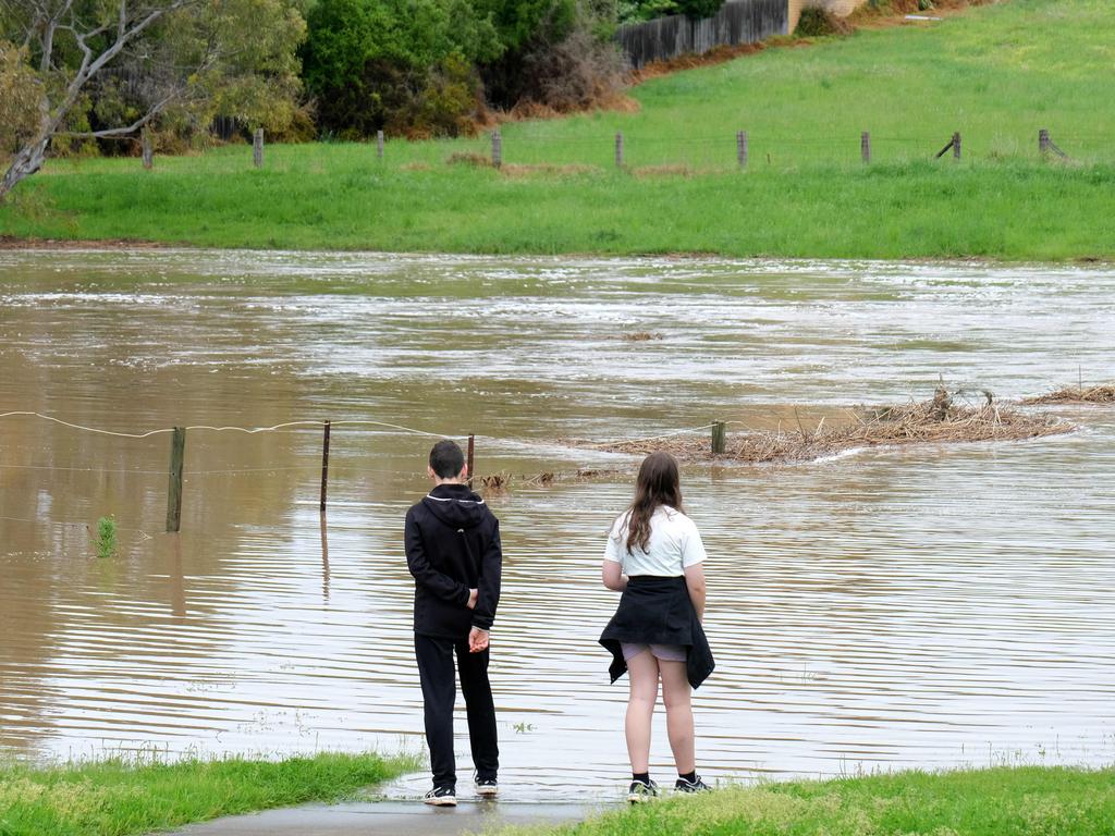 The Hovells Creek in Lara in flood Picture :Mark Wilson