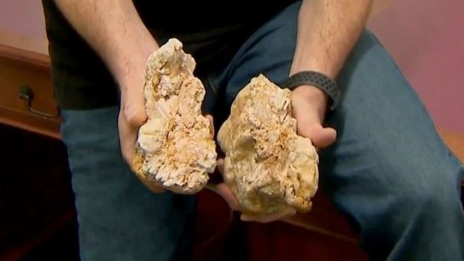 The 4.6kg rock contained 2.6kg of gold. Picture: Nine