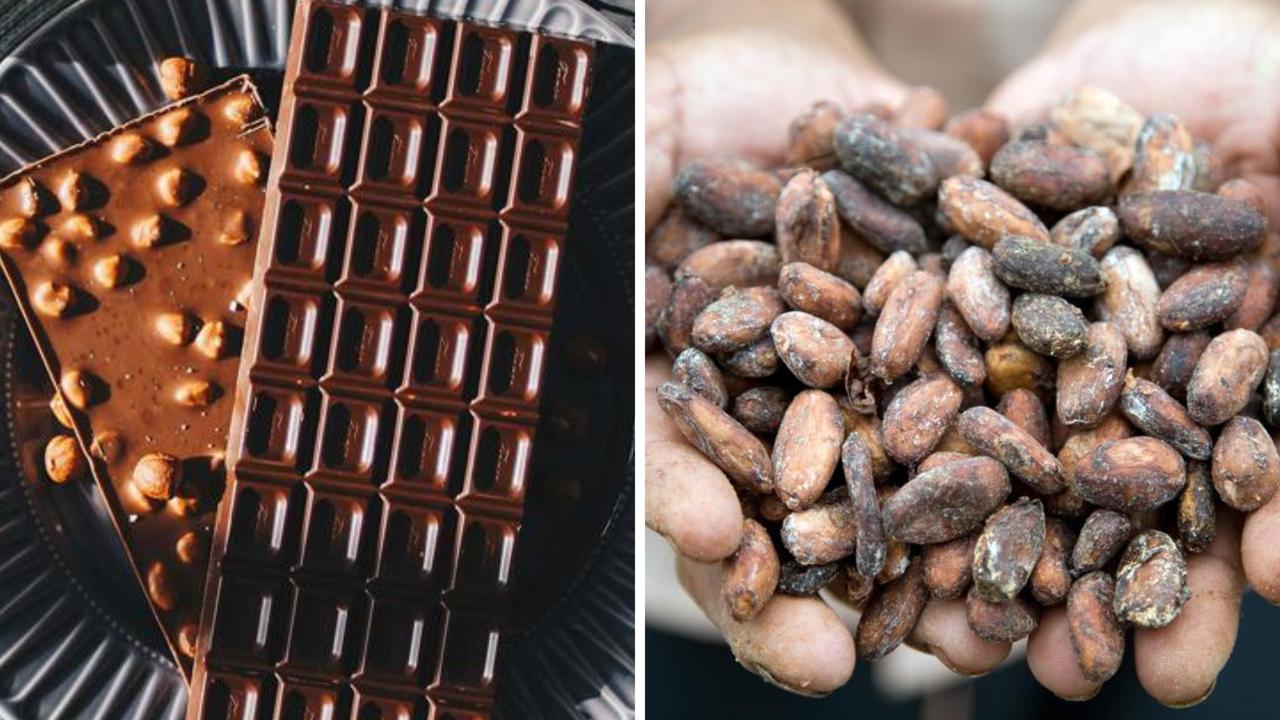 Global chocolate supply under ‘real threat’