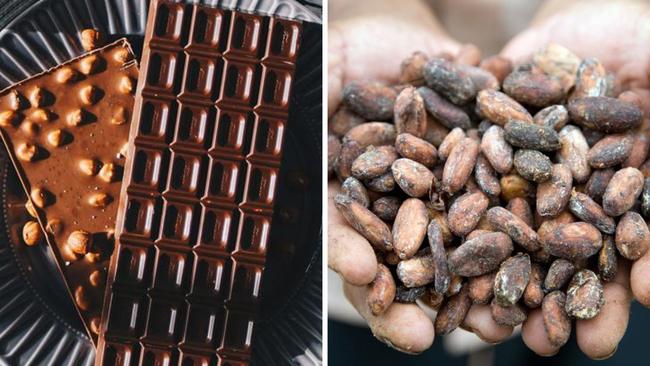 Chocoholics may want to stock up while they can, as a devastating disease potentially puts the global chocolate supply in jeopardy.