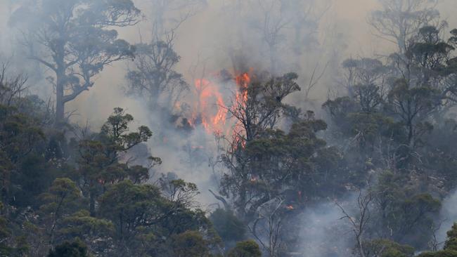 Firefighters were performing back burns at the Great Pine Tier blaze on Wednesday to prepare for hot and difficult conditions later this week. Picture: PATRICK GEE