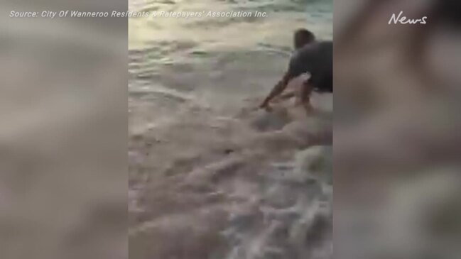 Quinns Rock locals help beached shark