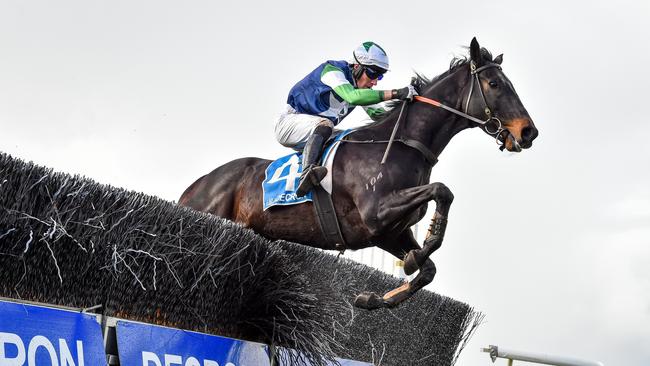 The Dominator, ridden by William McCarthy, clears the jump on their way to winning the Hammonds Paints Thackeray Steeplechase at Warrnambool. Picture: Reg Ryan