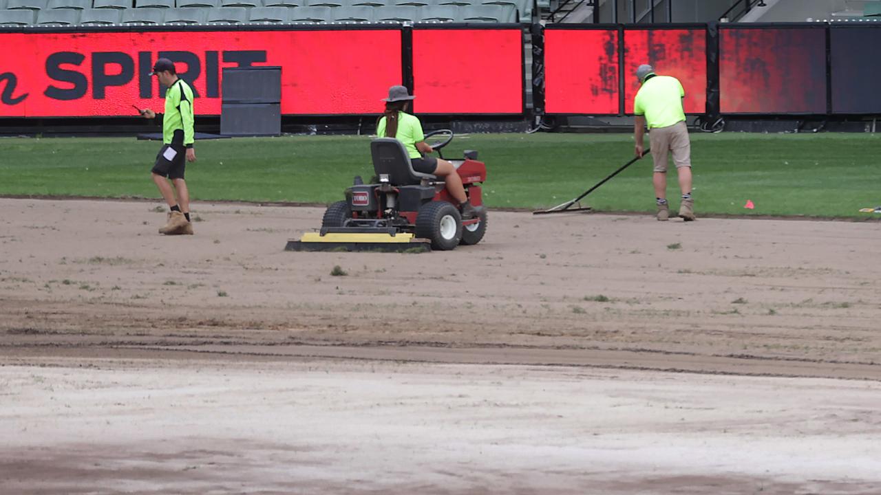 MCC CEO Stuart Fox says the ground staff are comfortable with how the surface is. Picture: David Caird