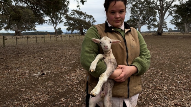 'Worst we've seen': Behind the 'Green Drought' threatening farmers