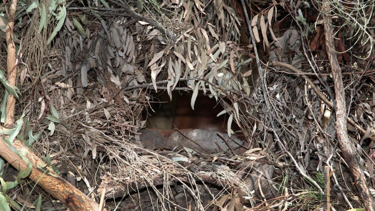 A sniper dugout on the Train property.