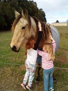 Dakoda the mare was a much-loved member of a local East Gippsland family before she was illegally killed in April last year. Picture: Supplied