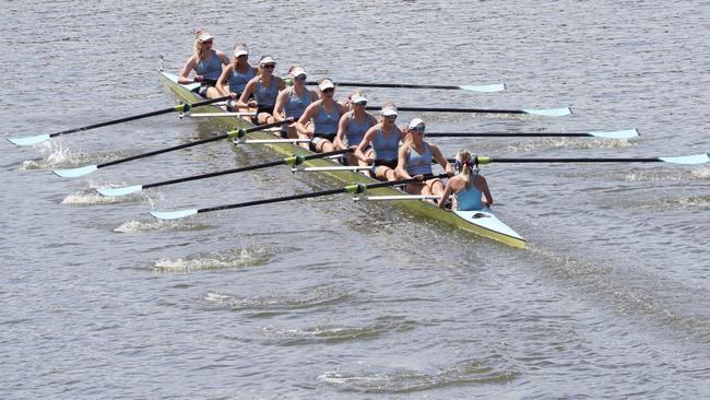 Geelong Grammar has 11 crews in action at the Head of the Schoolgirls this weekend. Picture: Mark Wilson