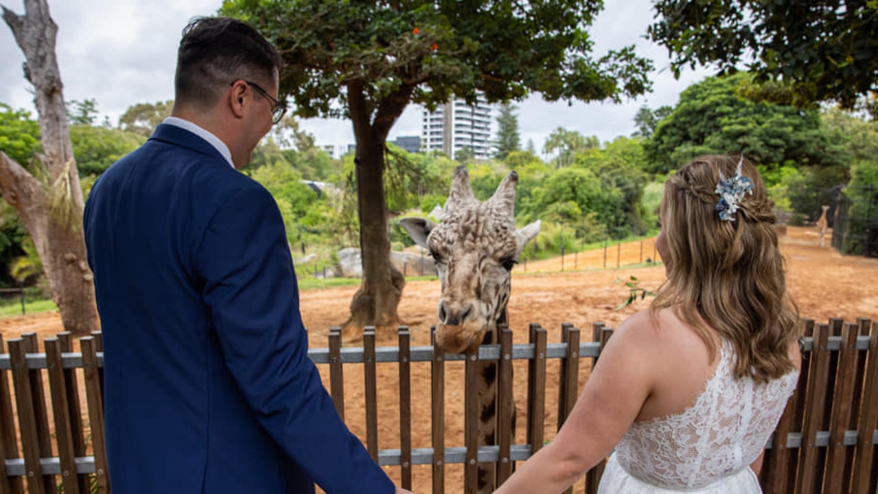 Lucky Perth couples have been able to share their special day with Armani over the years. Picture: Nathan Sixsmith Photography