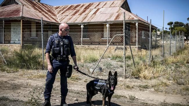 SA Police detectives search near Murray Bridge for Travis Kirchner. Picture: AAP/Mike Burton