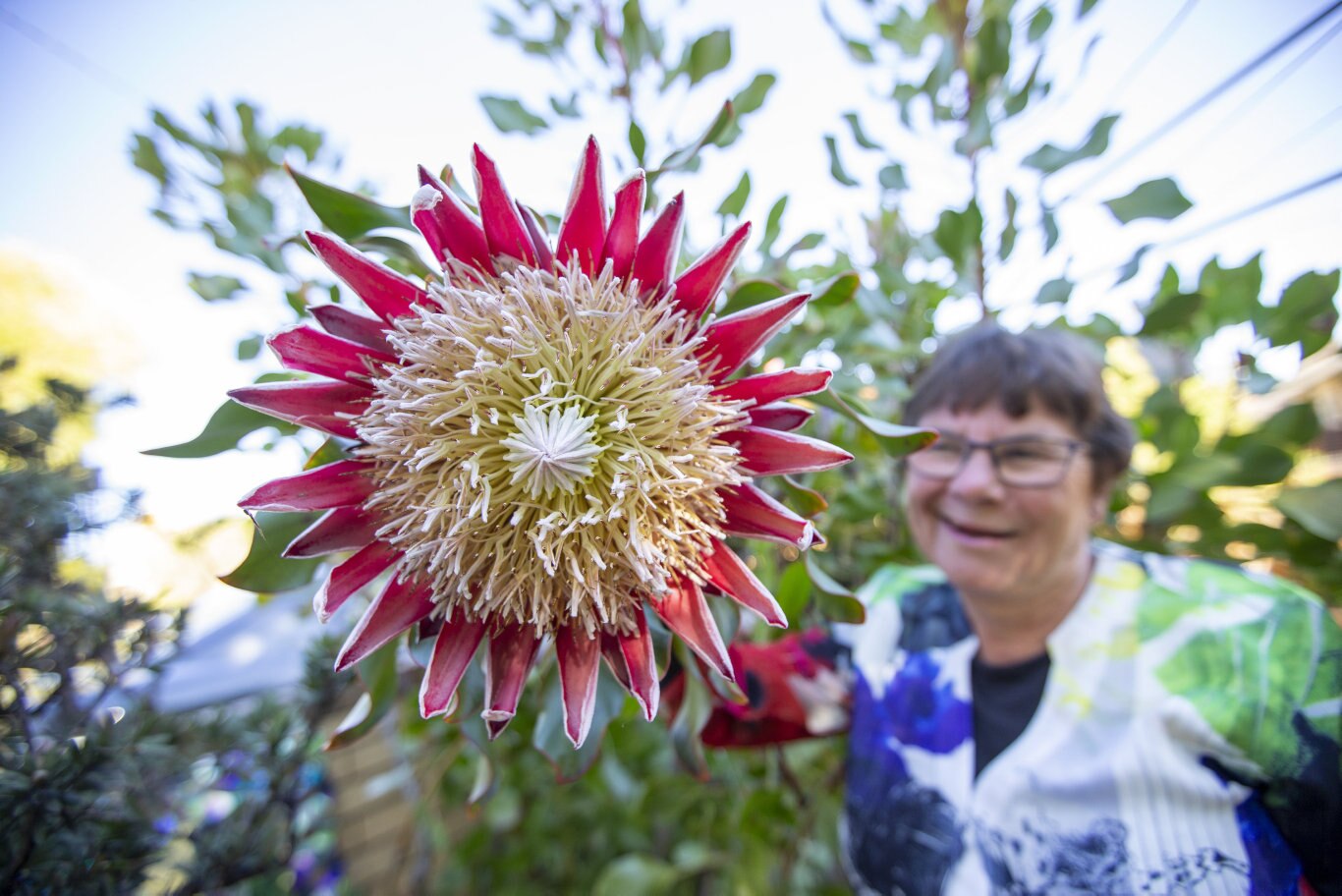 Garden For Good. Janice Canning. Picture: Sarah Marshall