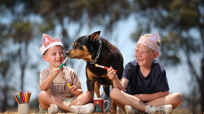 The NGV is doing a regional tour in  summer where key exhibitions are heading for the country. One of the travelling exhibitions is Cats and Dogs. Country kids Oliver 5 and Harvey 7 and Paddy the kelpie helps lick the paint brushes after painting their dog ear bandanas at Cressy.                                                              Picture: David Caird