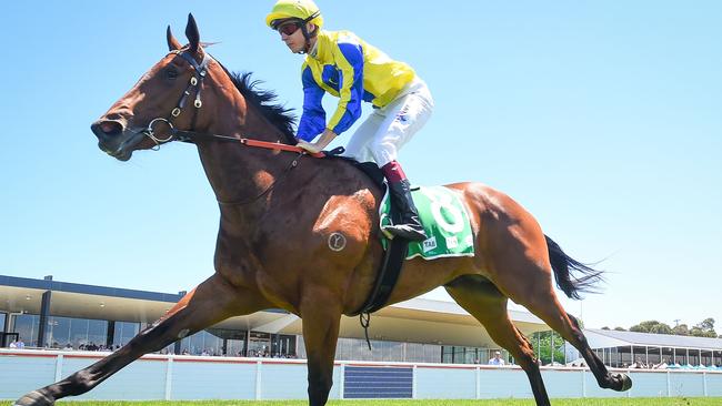 Impressive last start winner La Vie En can become trainer Lindsey Smith's first winner from his new Barwon Heads base at The Valley on Friday night. Picture: Racing Photos via Getty Images.