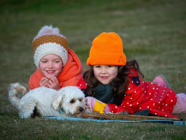 About one-third of pet owners adopted their furry friend during the pandemic.