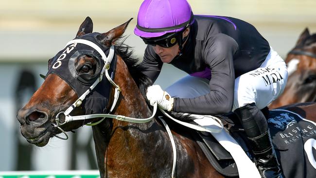 Boomtown Lass has been solid in betting. Picture: AAP
