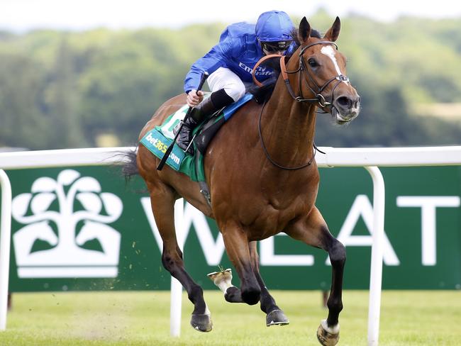 Scottish, ridden by James Doyle, leads the field home to win at Newbury in July. Picture: PA