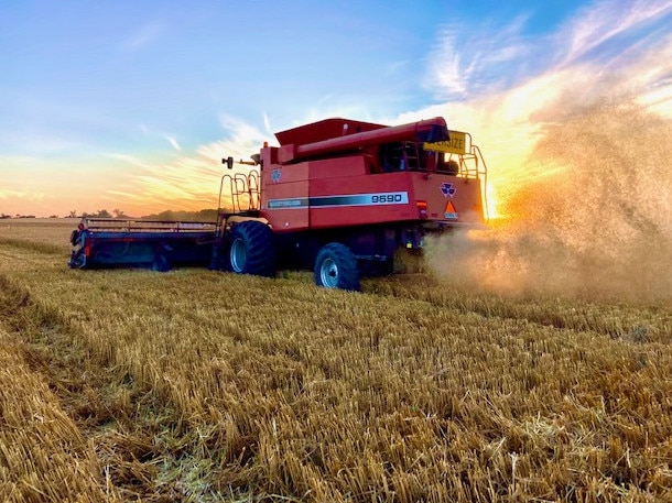 Australian barley growers are facing a $2.5 billion loss over the next five years if they can’t replace the Chinese market.