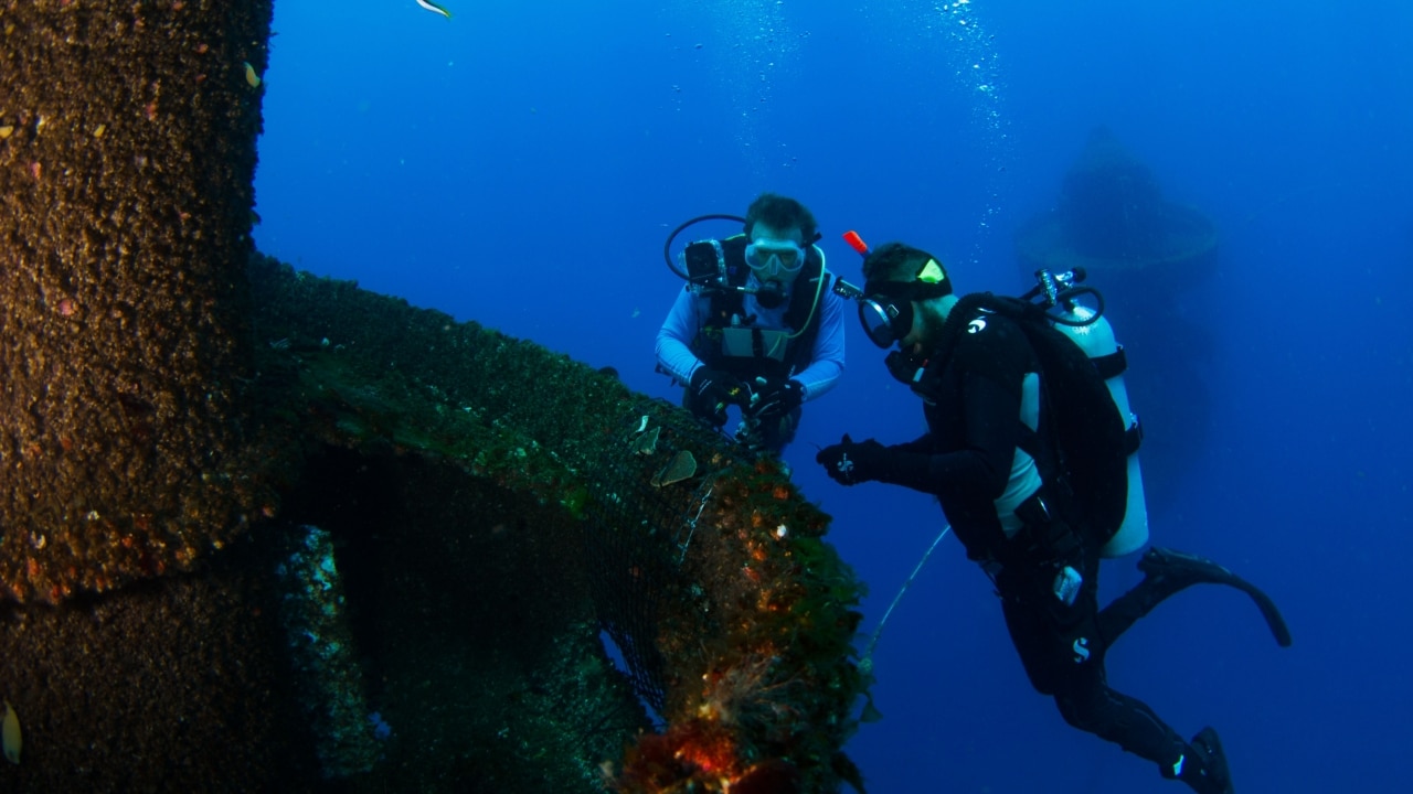 I dived the world’s first ‘buoyant reef’ on the Gold Coast