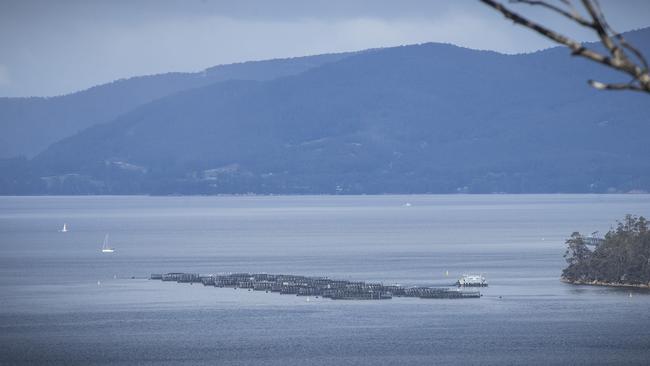 Salmon farming pens in the Channel between Margate and Bruny Island. Picture: LUKE BOWDEN