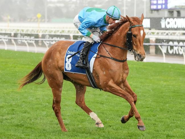 Alsephina on the way to the barriers prior to the running of  the Furphy Let's Elope Stakes at Flemington Racecourse on September 14, 2024 in Flemington, Australia. (Photo by George Sal/Racing Photos via Getty Images)