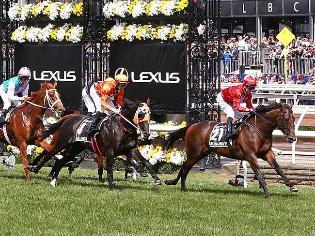 MELBOURNE, AUSTRALIA - NOVEMBER 06:  Horse on the first lap in race 7 the Lexus Melbourne Cup during Melbourne Cup Day at Flemington Racecourse on November 6, 2018 in Melbourne, Australia.  (Photo by Michael Dodge/Getty Images)