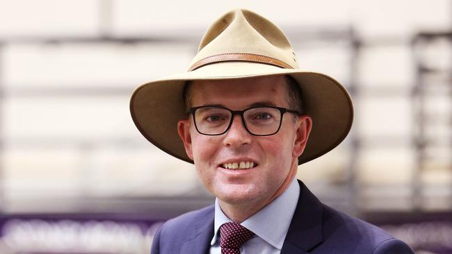 Infected NSW Agriculture Minister. Picture: Tim Hunter.