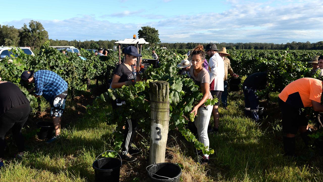 Covid Victoria: Mildura outbreak hits farm workers | The Weekly Times