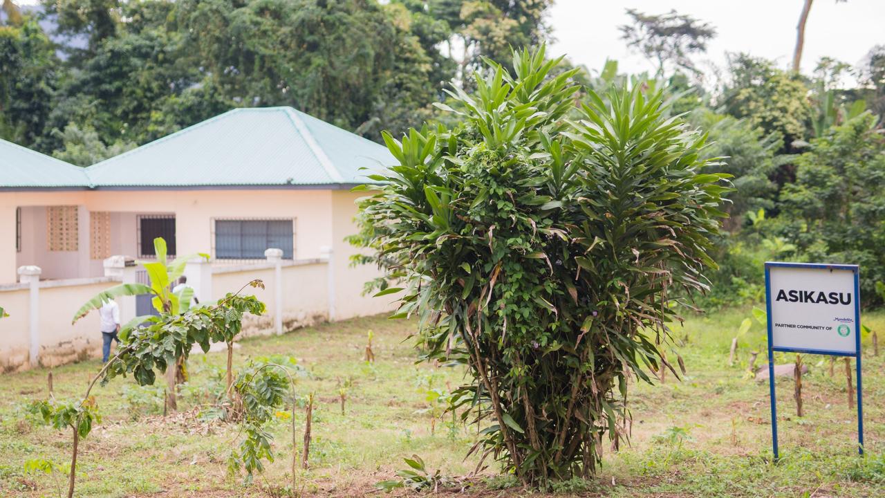 Asikasu, one of the cocoa communities on the Cocoa Life program in Ghana. Picture: Kwabena Agyeman / KwaMani Photography.