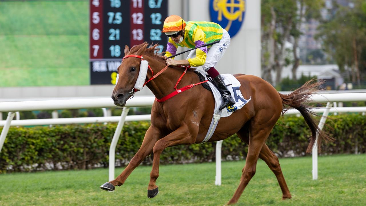 Horse Racing in Hong Kong - Sha Tin Racecourse