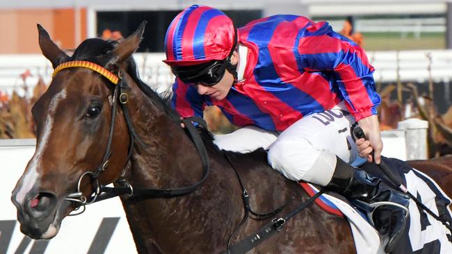 Tim Clark has a solid book of rides at Gosford.