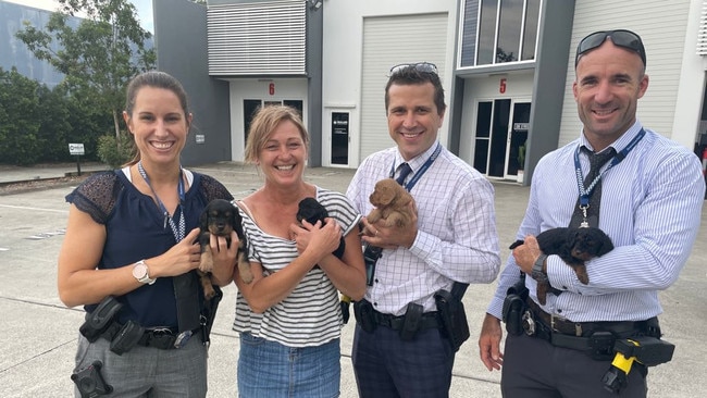 The puppies were taken to a vet and reunited with Ms Merry (striped shirt). Picture: Supplied