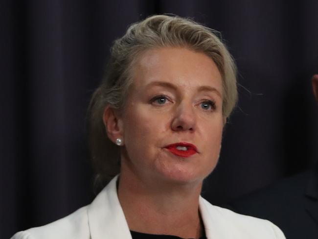 Minister for Sport Bridget McKenzie. Picture Kym Smith