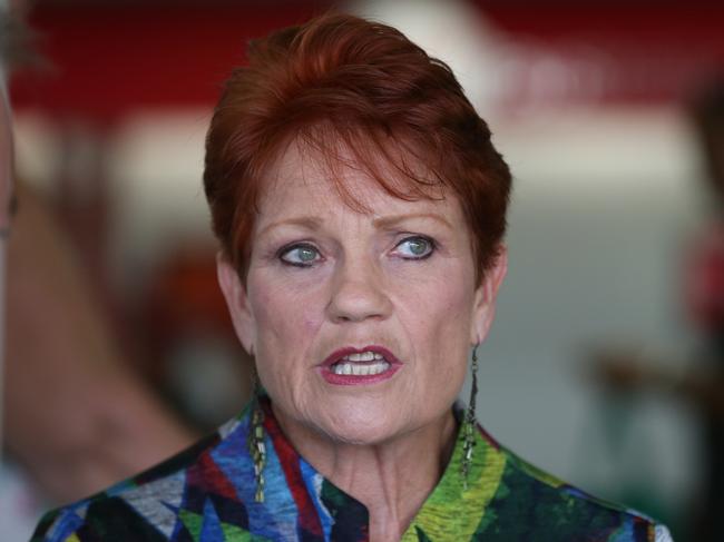 14/4/2019: Senator Pauline Hanson arrives carrying her luggage at the Brisbane Airport terminal, Brisbane. Hanson caught a flight to Adelaide to begin campaigning after an illness, for the One Nation federal election campaign. Lyndon Mechielsen/The Australian